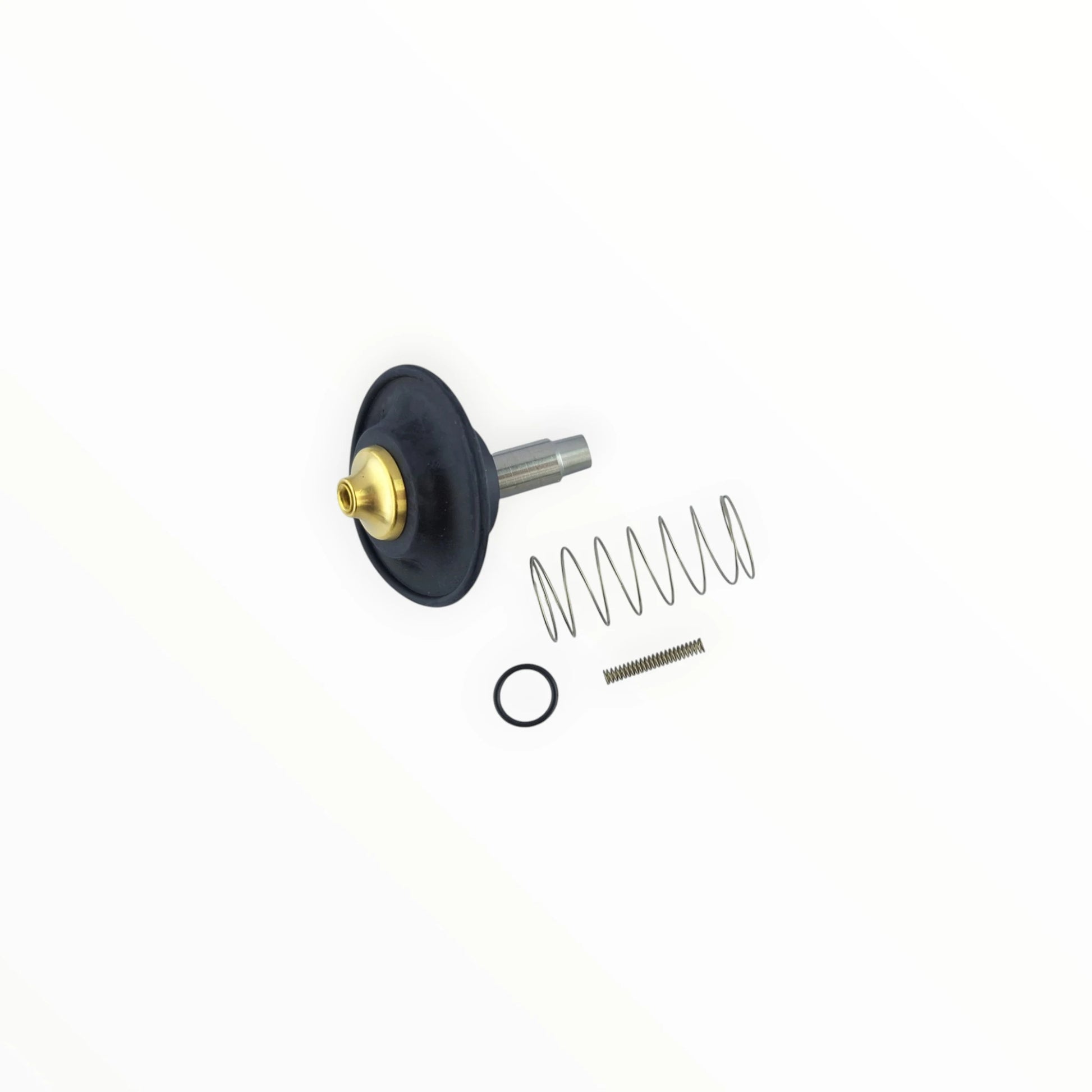 Solenoid valve repair kit 1-inch